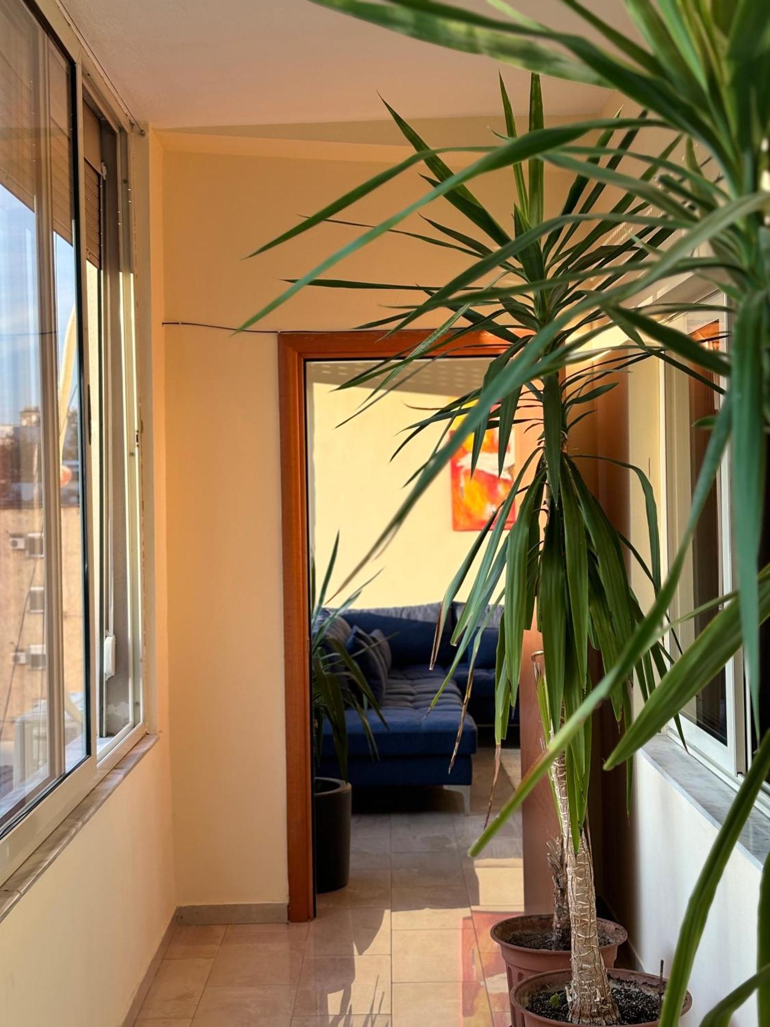 Tam 2Bdr Center Taiwan Apartment Tiranë Eksteriør bilde