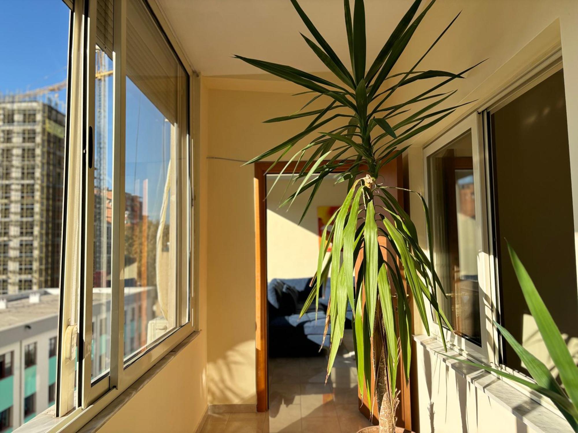 Tam 2Bdr Center Taiwan Apartment Tiranë Eksteriør bilde